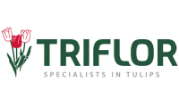 Triflor